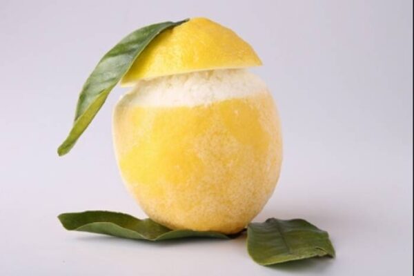 Citrons givrée